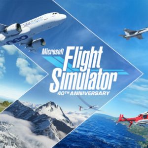 Flight Simulator